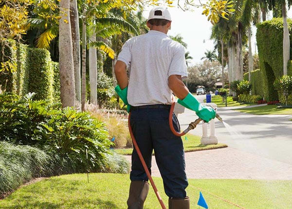About Ponce De Leon FL Pest Control Pros